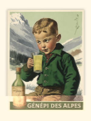 Affiche Poster du Génépi des Alpes